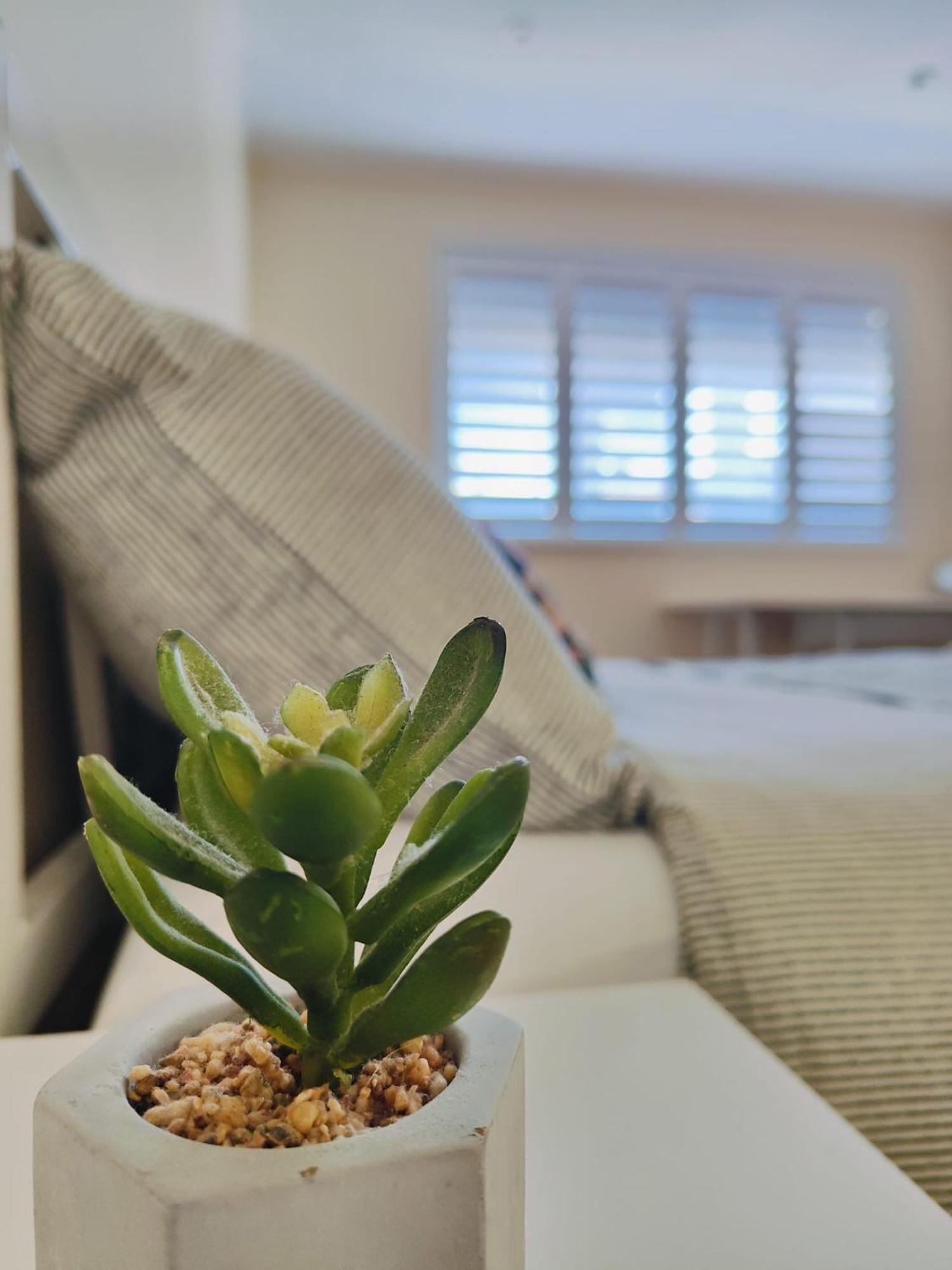 Adel'S House Bed and Breakfast Λονδίνο Εξωτερικό φωτογραφία